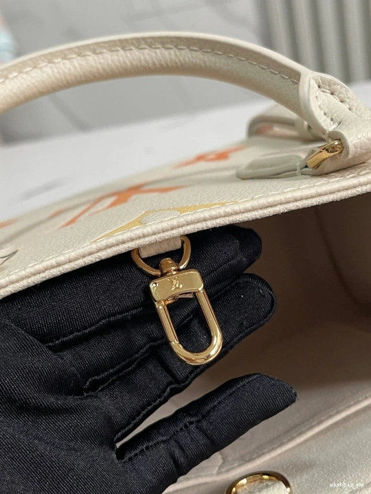 WIS VUITTON LOUIS ONTHEGO PM 0113